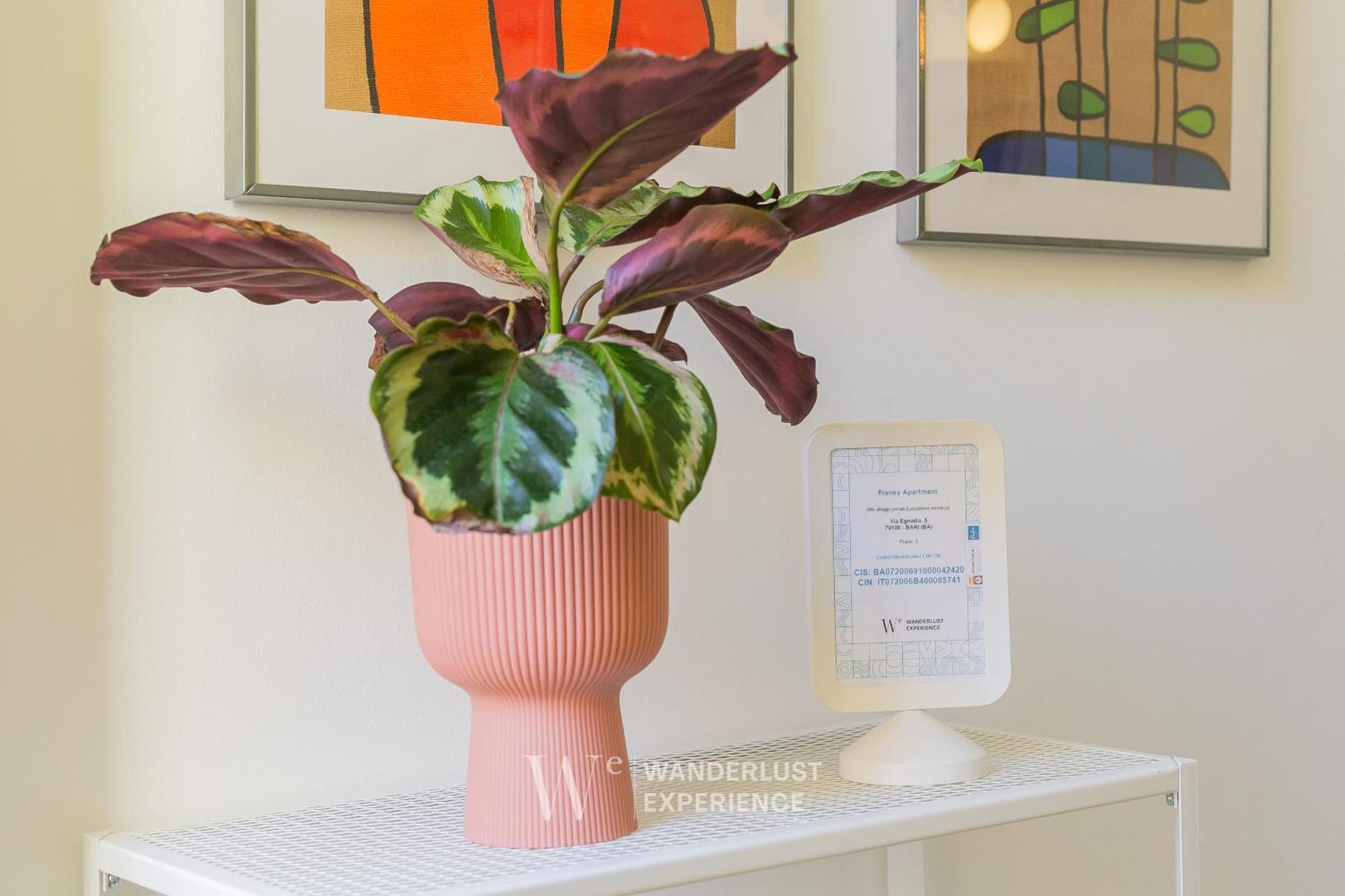 Wanderlust Experience Frankly Apartment Bari Exteriér fotografie